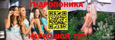 a pvp Гусев