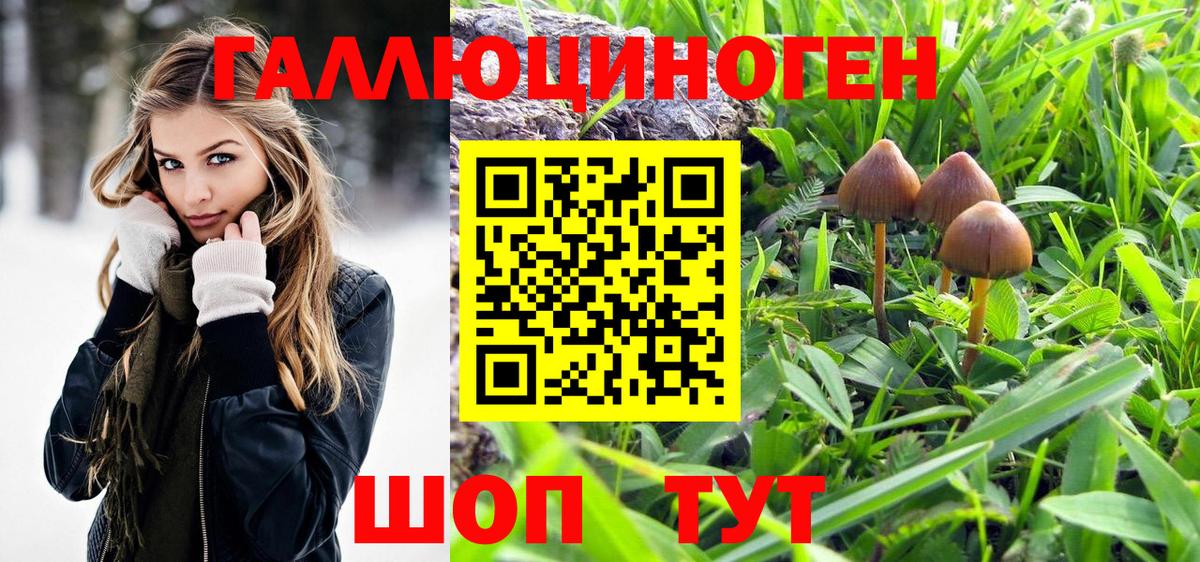 Галлюциногенные грибы ЛСД  Галлюциногенные грибы мицелий  Геленджик  где купить наркотик  Вход с VPN 