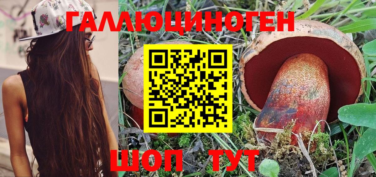 Галлюциногенные грибы ЛСД Геленджик